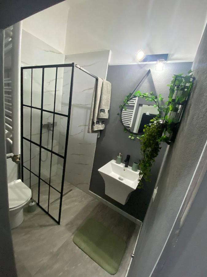 Green Vibes Central Brasov Bagian luar foto