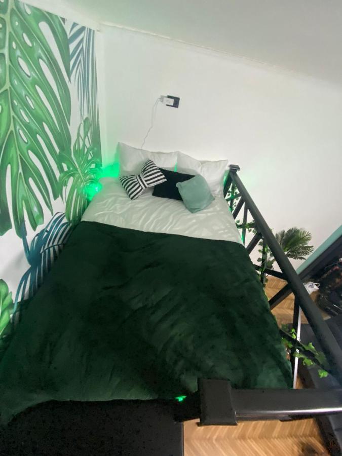 Green Vibes Central Brasov Bagian luar foto
